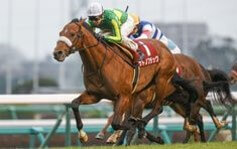 기수들이-말을-몰며-치열한-선두경쟁을-펼치고있는-모습