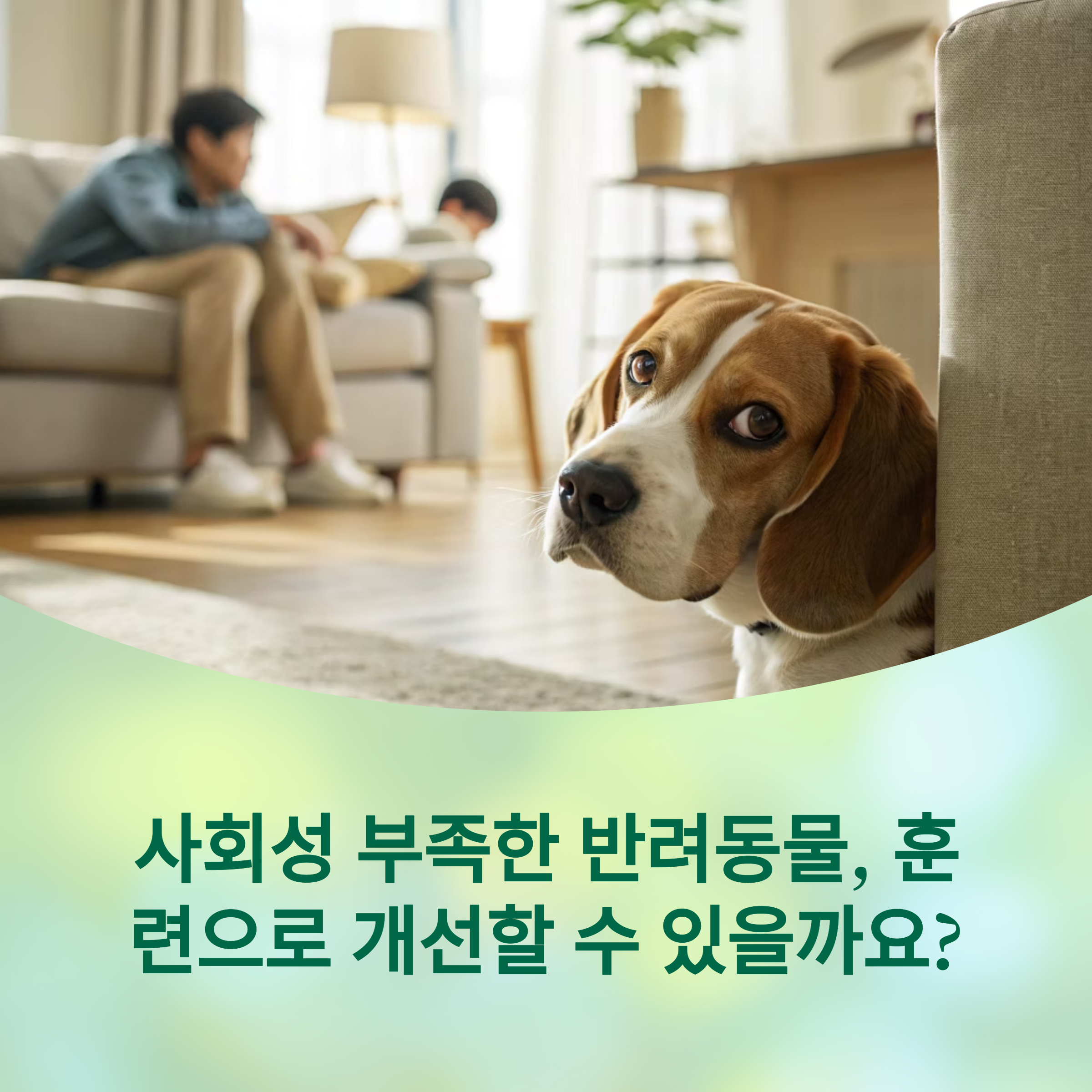 훈련으로 개선 가능할까?