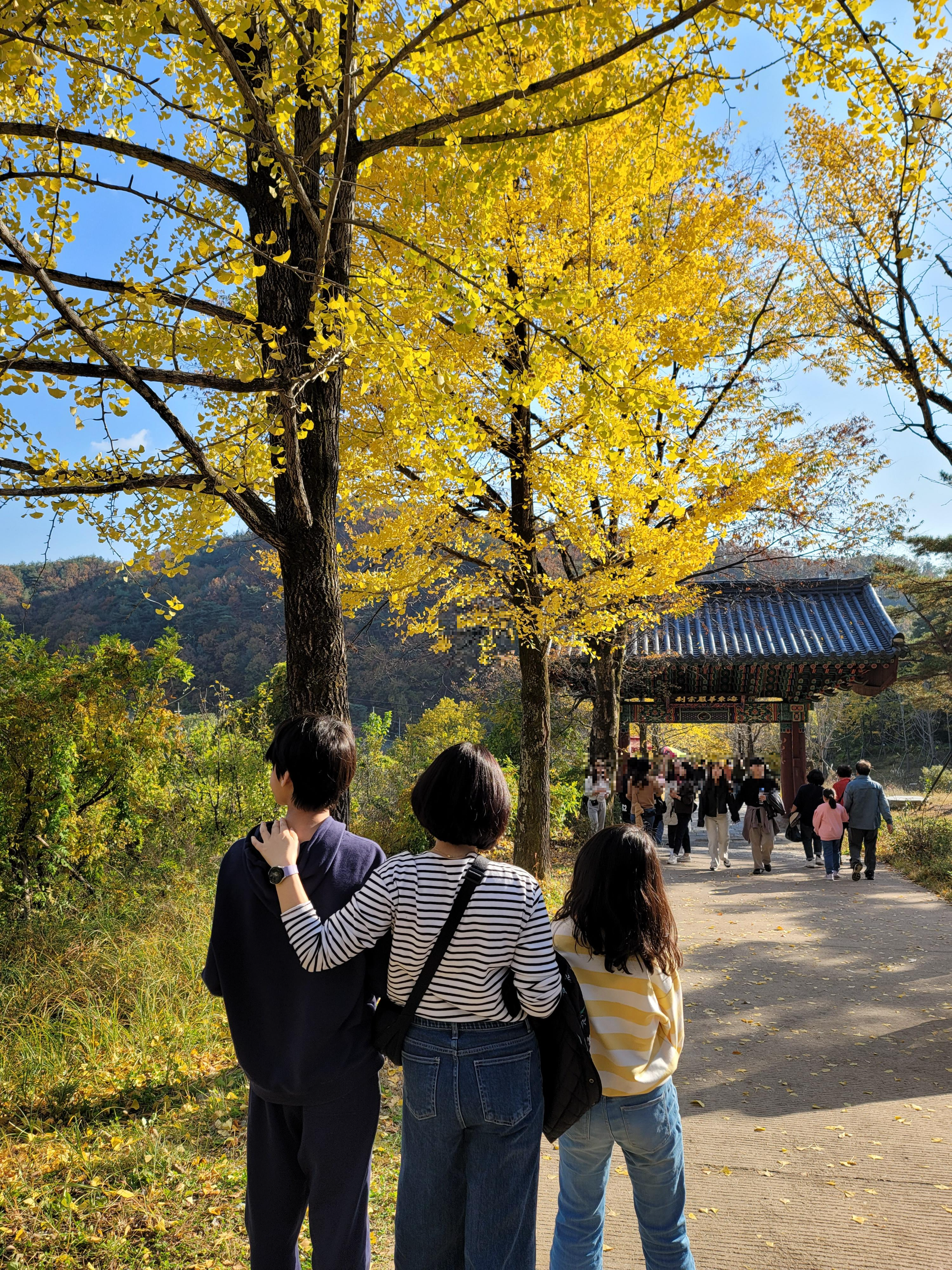 부석사 은행나무길