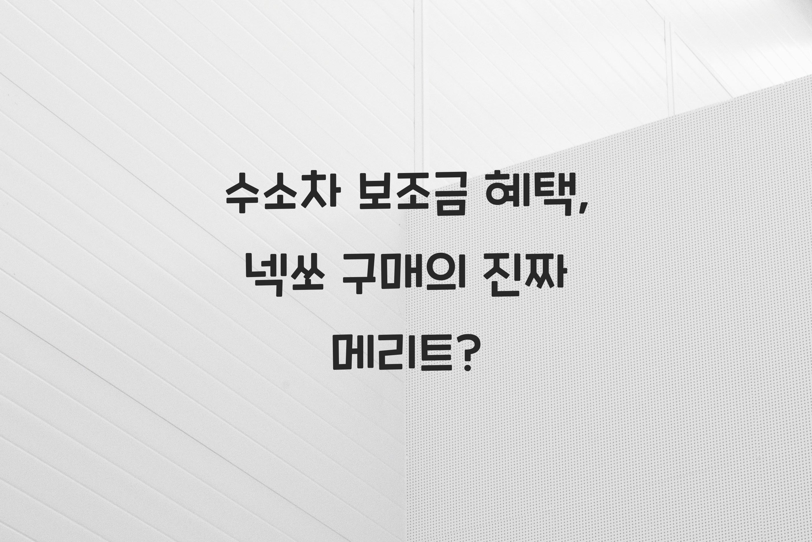 수소차 보조금