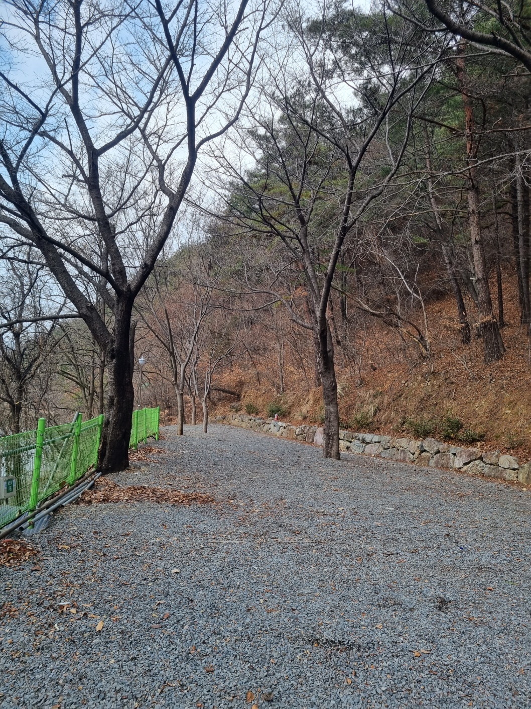 호반캠핑장