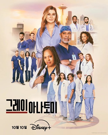 이미지 출처: 나무위키 드라마 '그레이 아나토미 시즌22' 문서