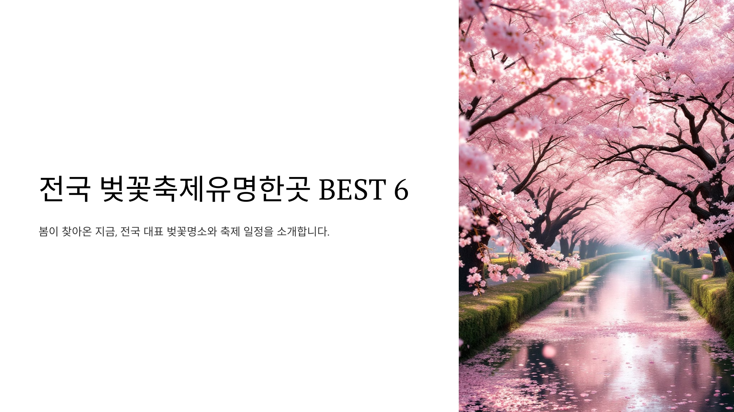 전국 벚꽃축제유명한곳 BEST 6