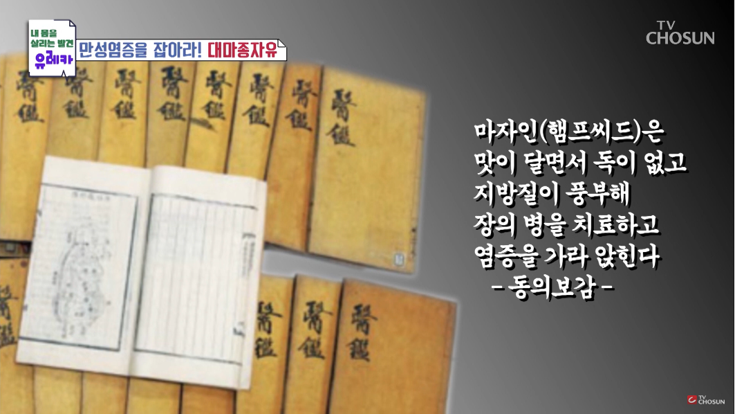 대마종자유