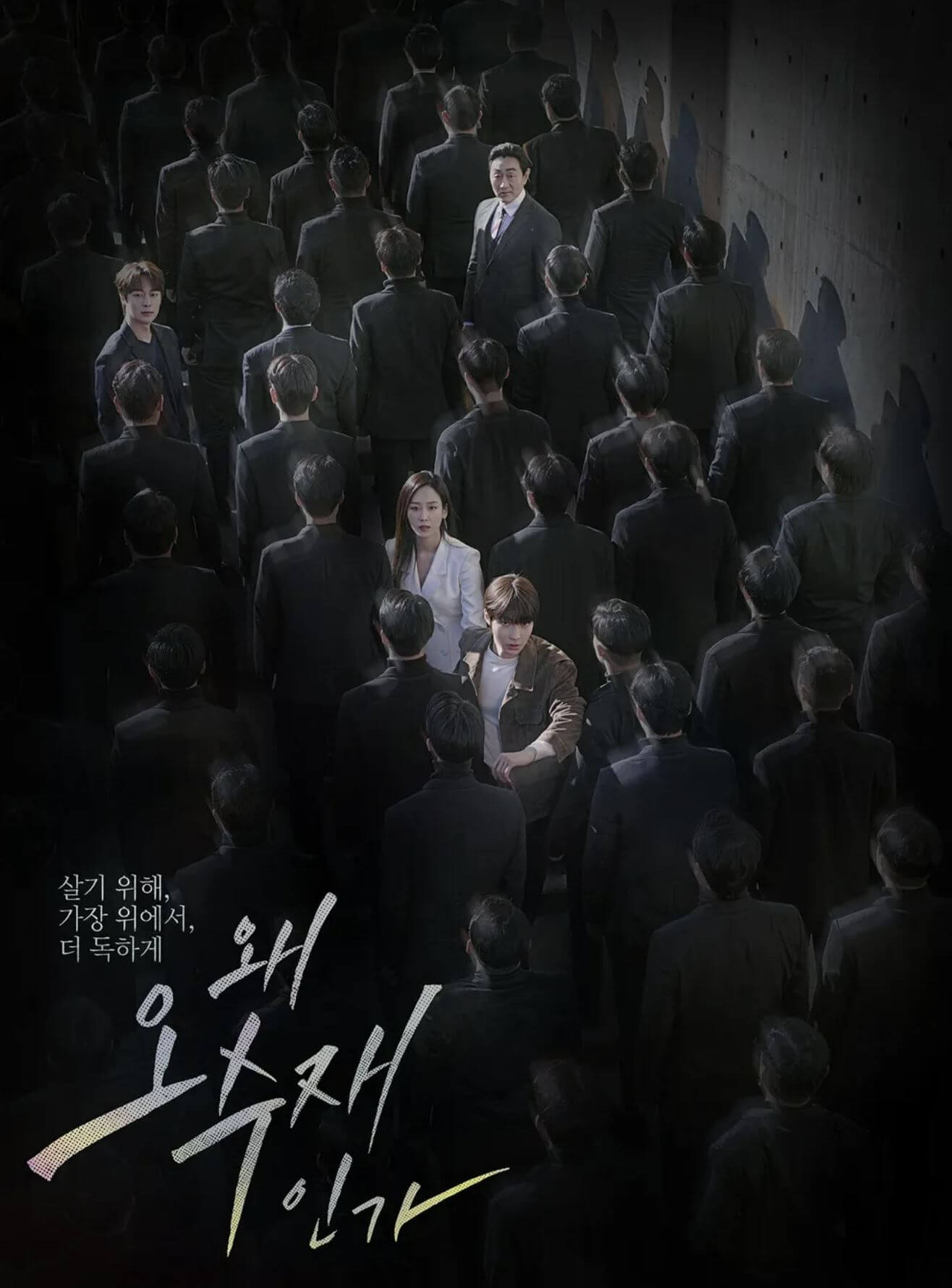 왜 오수재인가 포스터