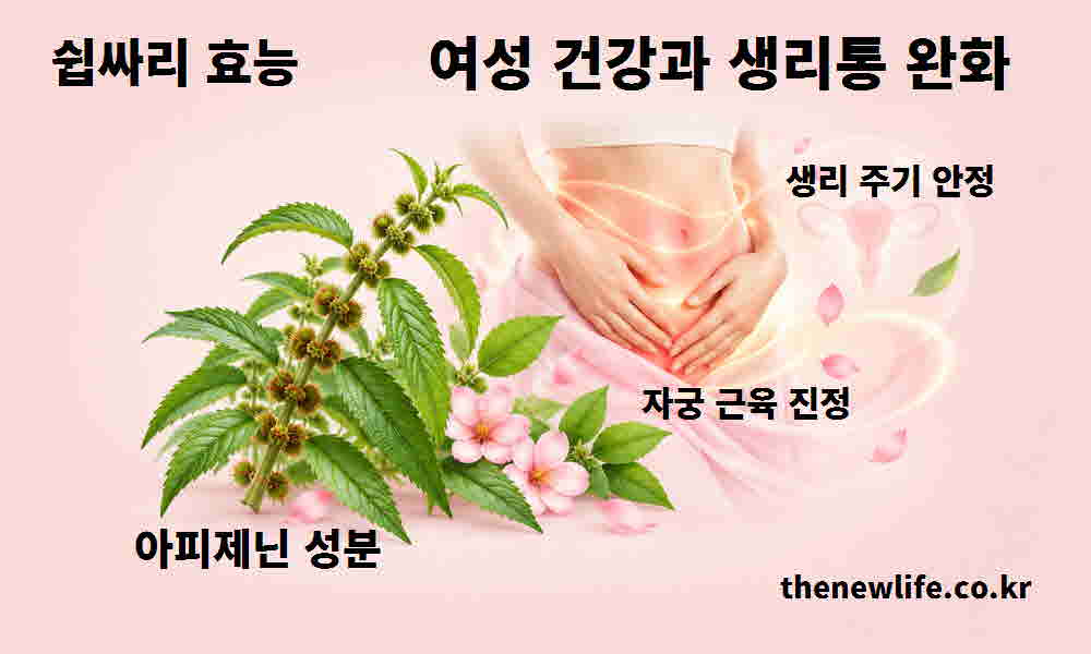 쉽싸리 효능 여성 건강 생리통 완화