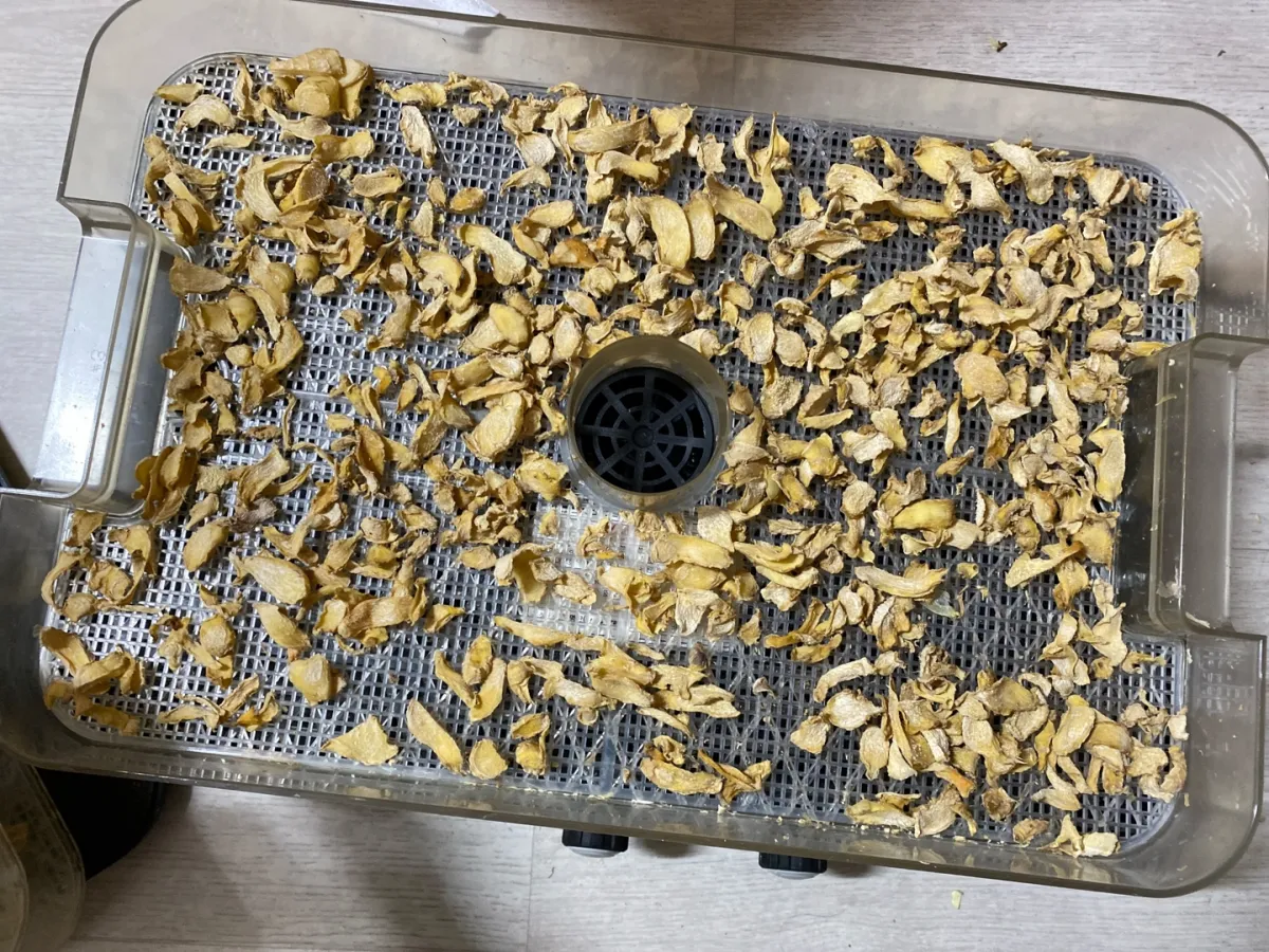 식품-건조기에-있는-건조된-생강