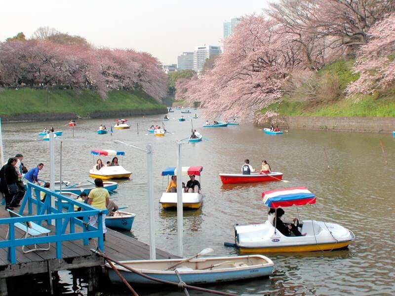 치도리가후치 선착장