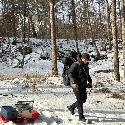 테라플렌인
