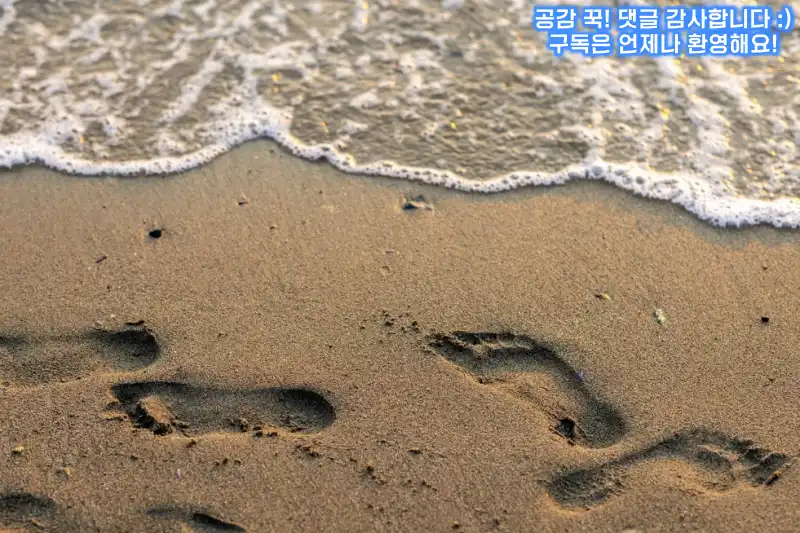 항공권 예약 할 때 체크해야 할 항목들