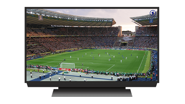 TV 수신료 해지