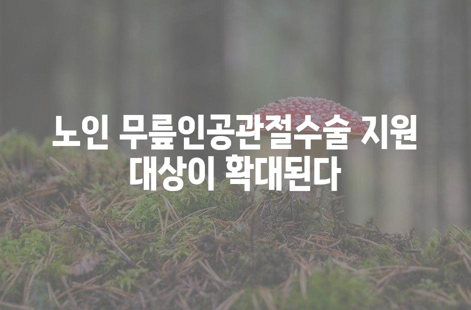 샘플 (42)
