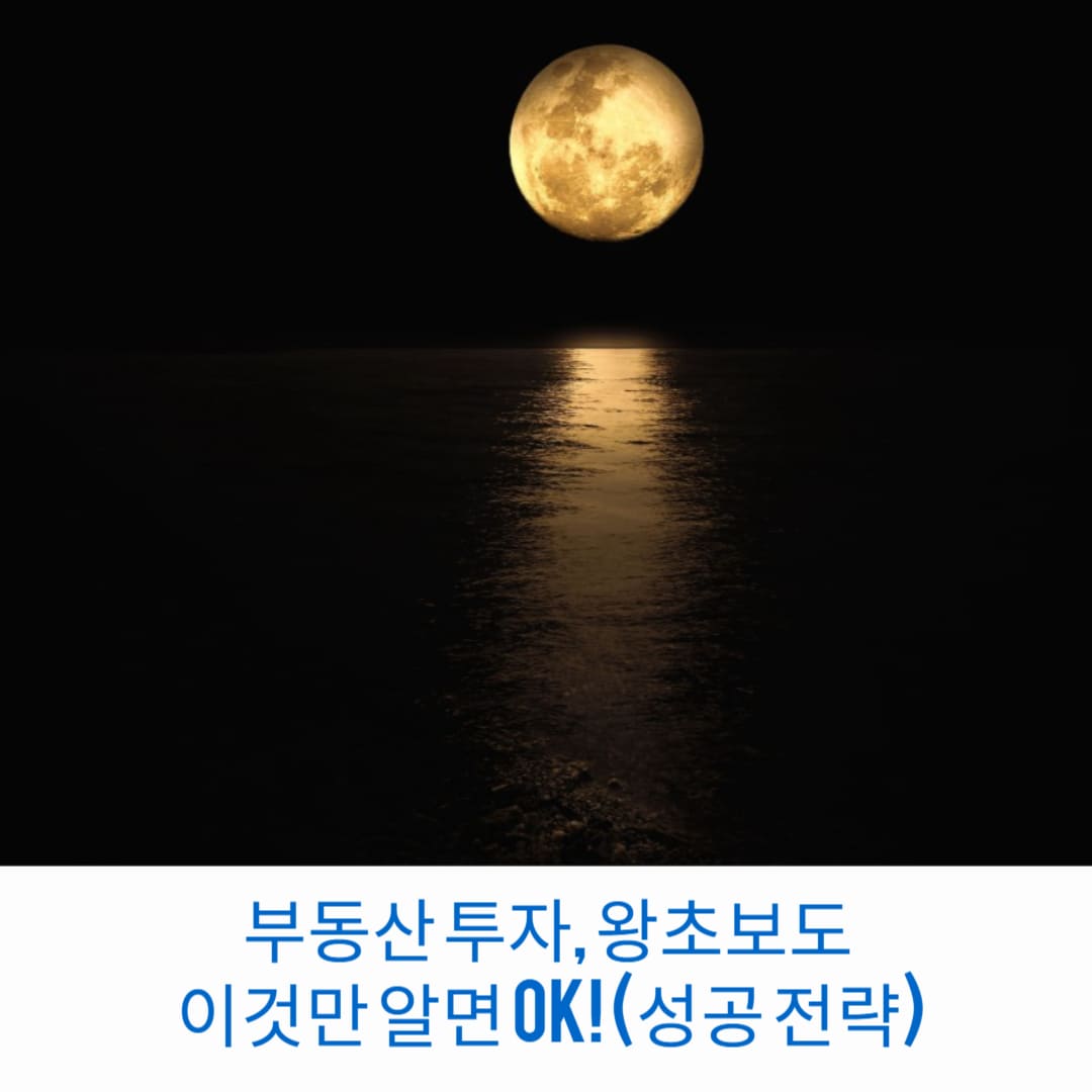 부동산-투자-왕초보도-이것만-알면-OK-성공-전략-썸네일