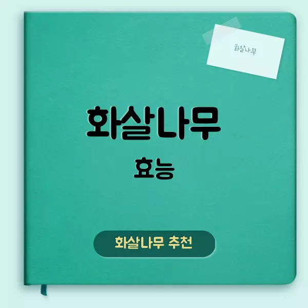 화살나무 효능