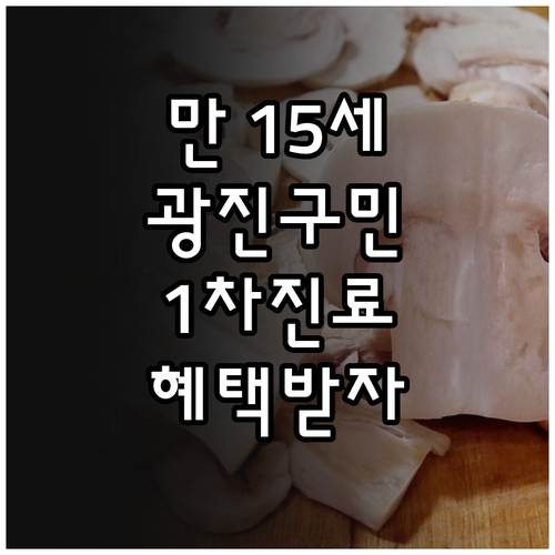 만 15세 이상 주목! 2025 광진..