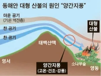 봄철 강풍 꽃가루 농도 알레르기 마스크 관리_13