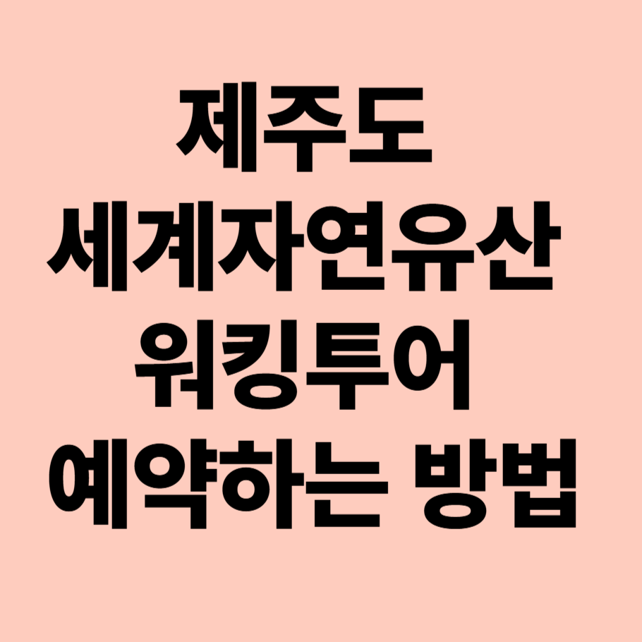 제주도 세계자연유산 워킹투어 예약하는 방법