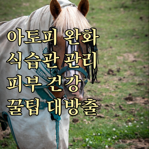 아토피 피부염, 건강한 식습관으로 관..