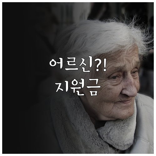 2026년 어르신 스포츠 상품권 지원..