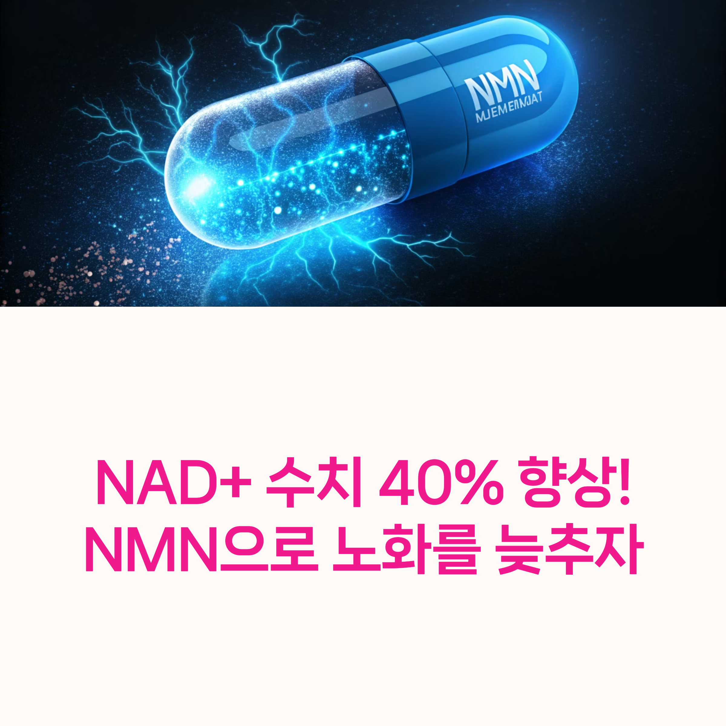 NMN, 항산화식품,