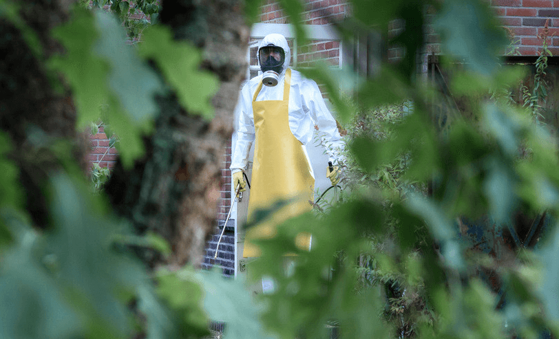 정체불명의 남자