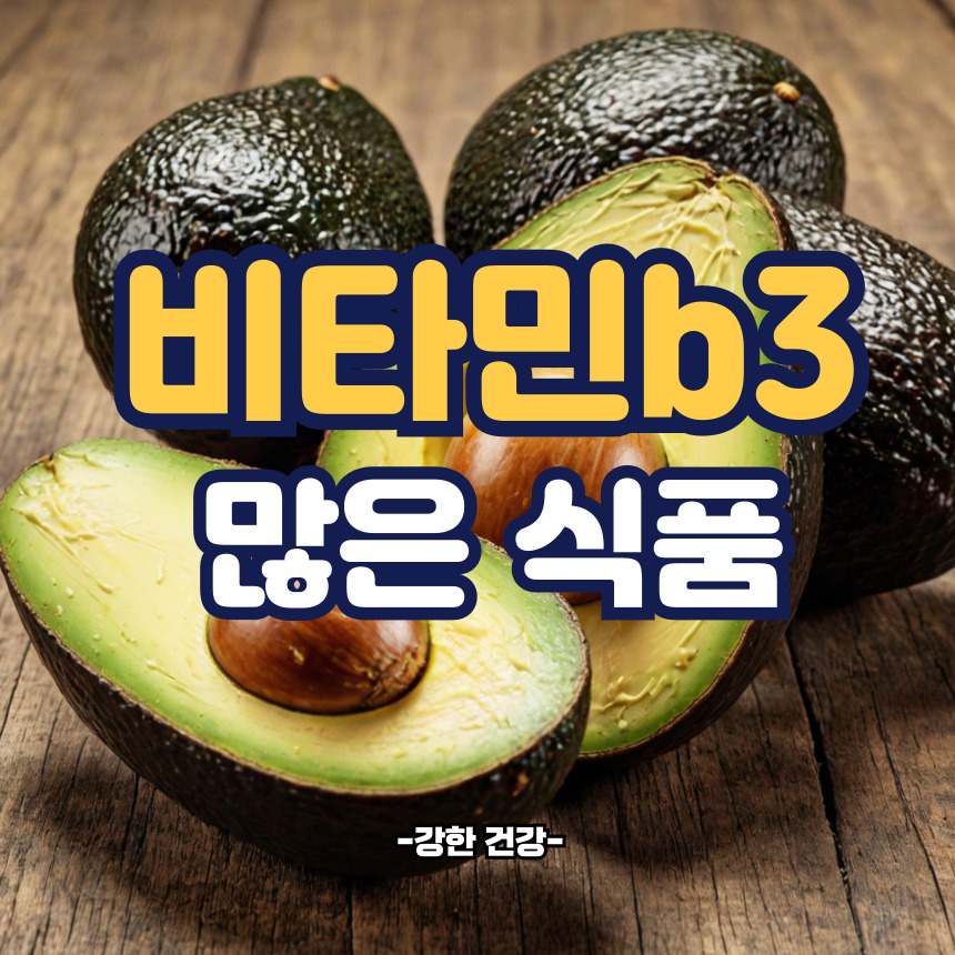 비타민b3가 많은 식품