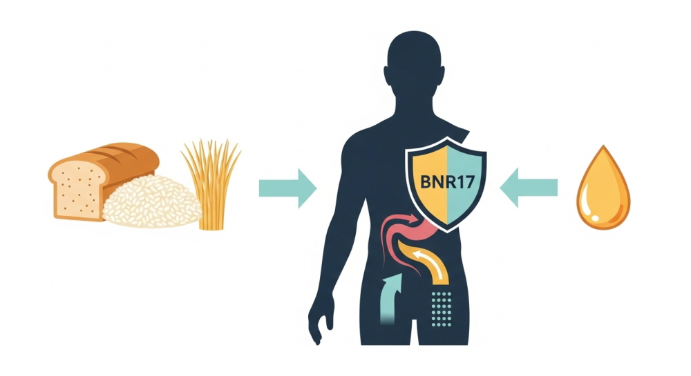 다이어트 유산균 BNR17