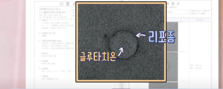 리포좀 글루타치온 효능