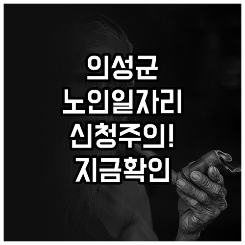 의성군 시니어클럽 노인 일자리 모집 ..