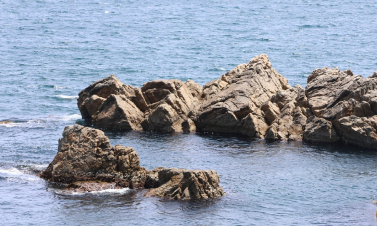 초곡용굴촛대바위길