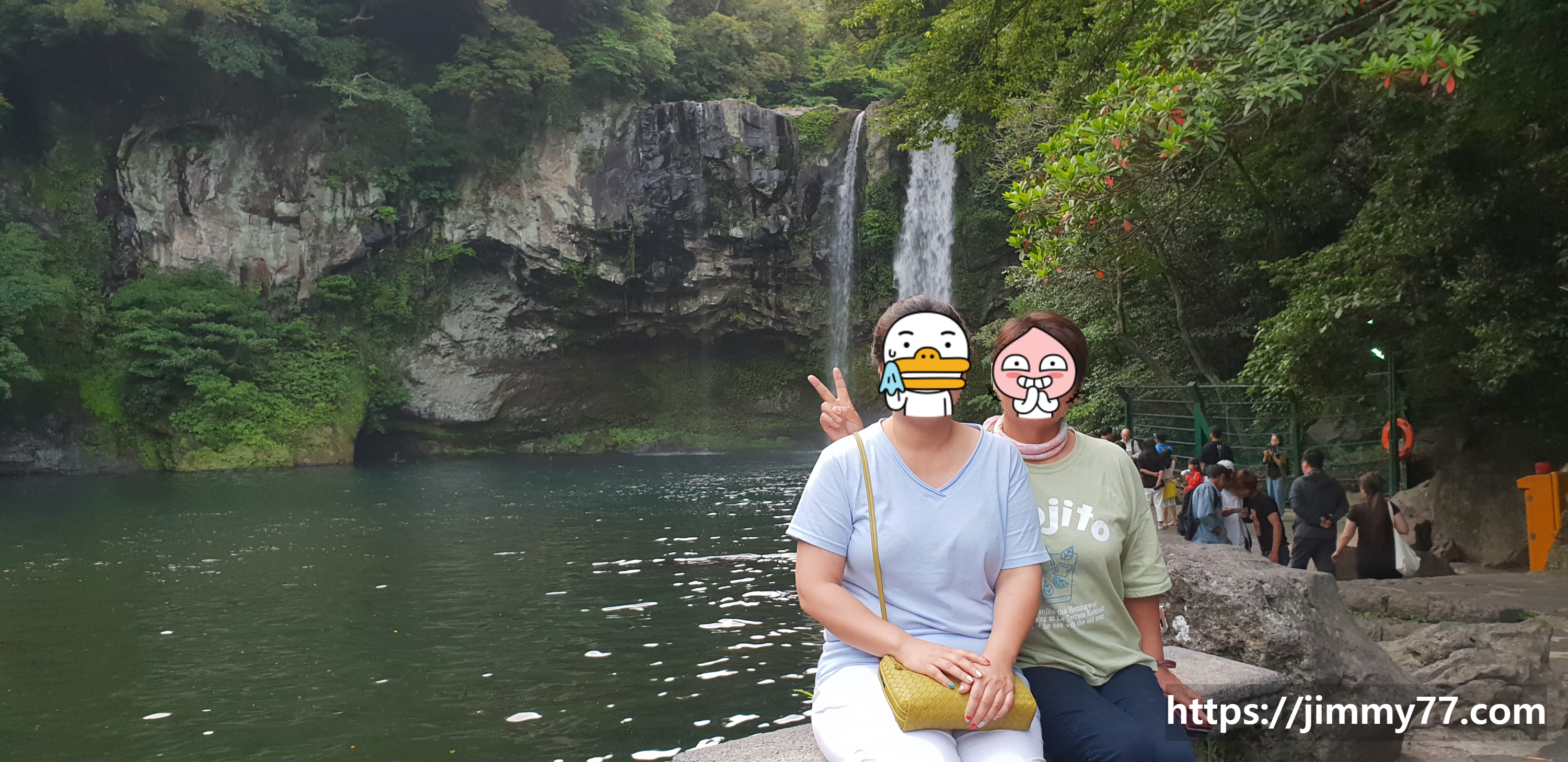 대체텍스트