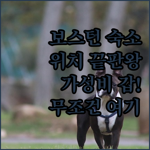 보스턴 숙소 추천 베스트 5 다운타운..