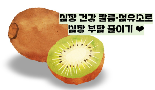 키위 효능 부작용