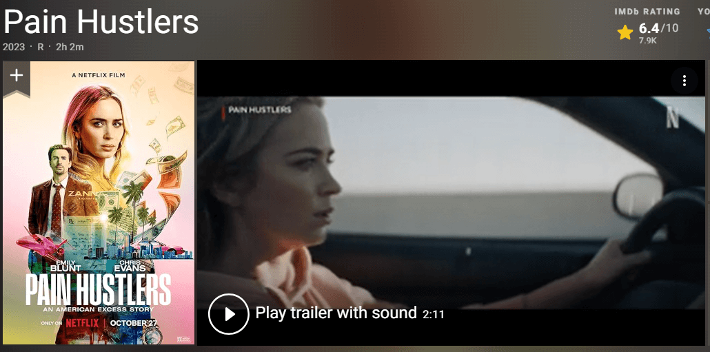 페인 허슬러 줄거리, 평점, 후기