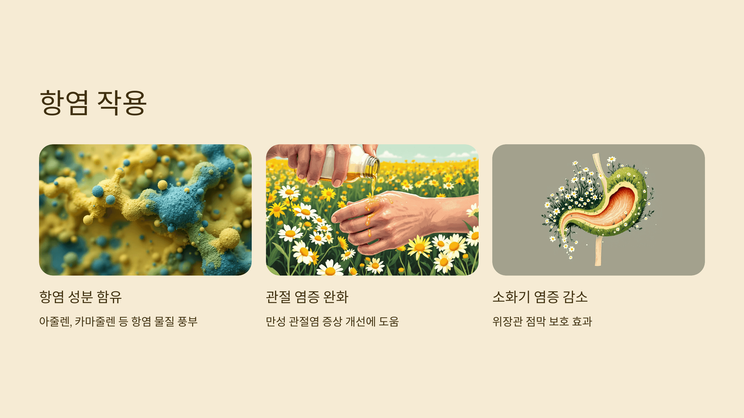 캐모마일차 사진입니다.