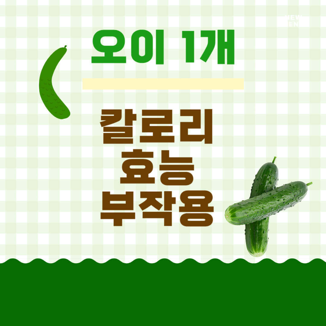 오이 1개 칼로리 효능 및 부작용