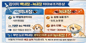 “강아지 눈 뿌옇게,하얗게 변하고, 비비고 벽에 문에 부딪친다면, 모르고 방치하면 실명합니다. (강아지 백내장 녹내장 완벽가이드)”