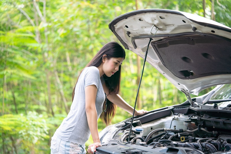 자동차 보험료 확인 이벤트