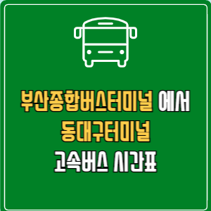 부산종합버스터미널에서 동대구터미널 고속버스 시간표 요금 예매