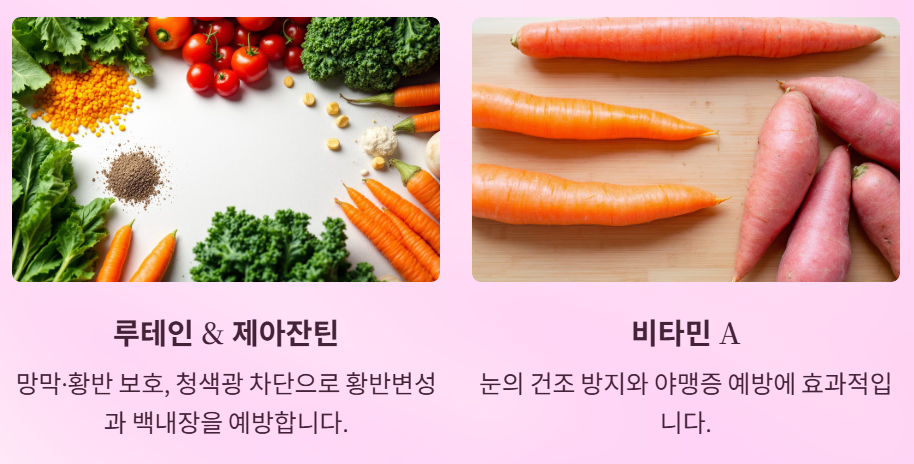 눈건강 핵심 영양소