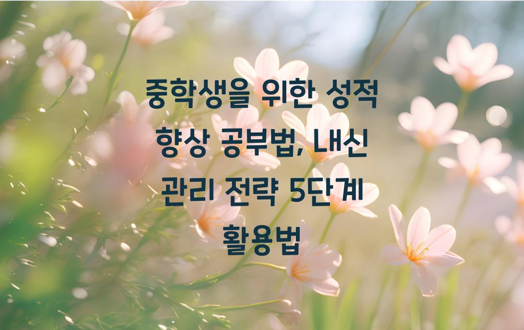 중학생을 위한 성적 향상 공부법 (내신 관리 핵심 전략)