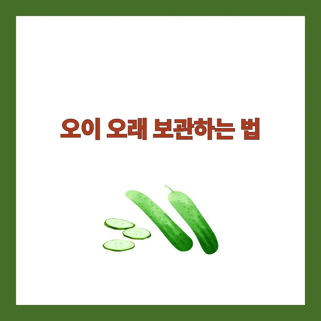 오이 오래 보관