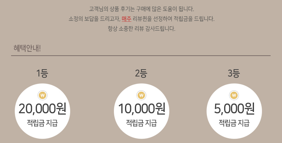 더 애수 홈페이지