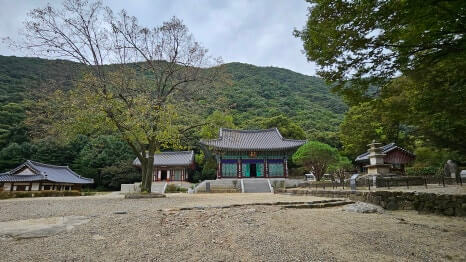 양평 사나사 : 용문산 천년 고찰이 품은 고요한 수행과 자연의 시간