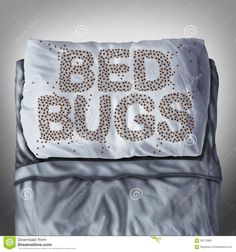 빈대 물린자국 : 빈대 퇴치법&amp;#44; 증상&amp;#44; 예방법