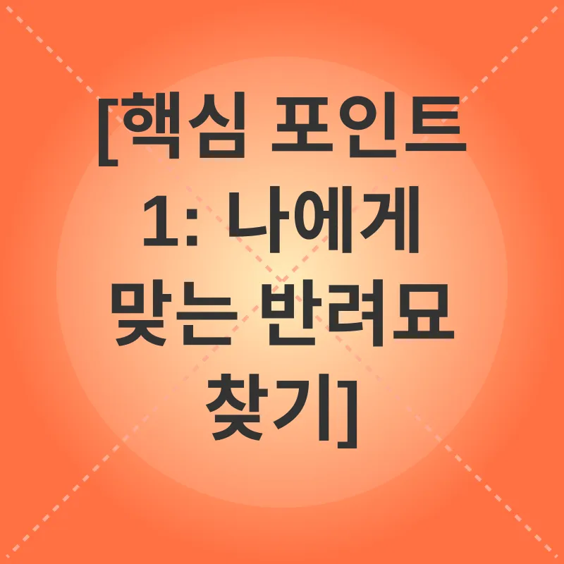 반려묘 입양_1