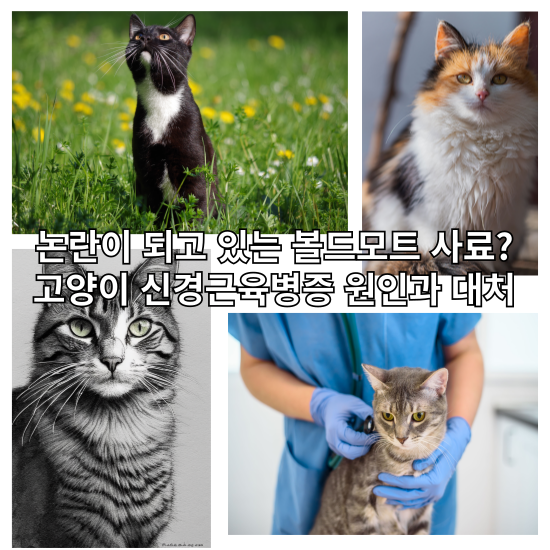 고양이 신경근육병증