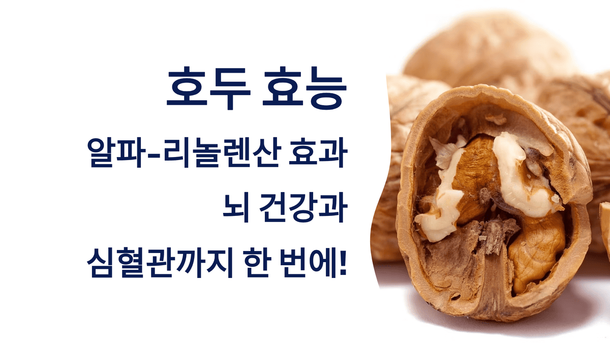 호두 효능의 알파-리놀렌산 효과: 뇌 건강과 심혈관까지 한 번에!