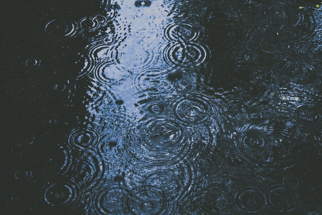 Rainer Honeck