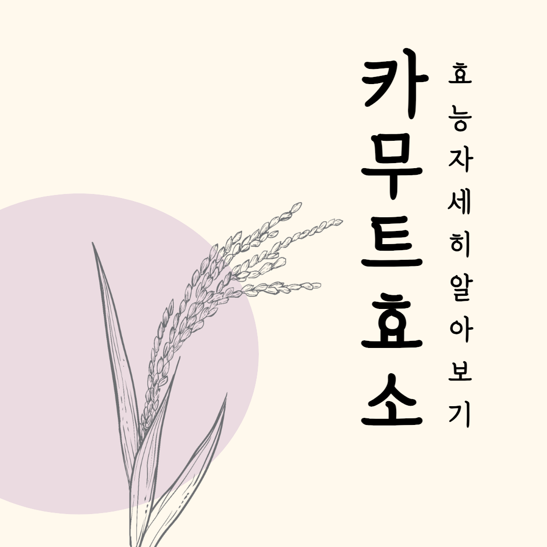 카무트효소 효능 섬네일